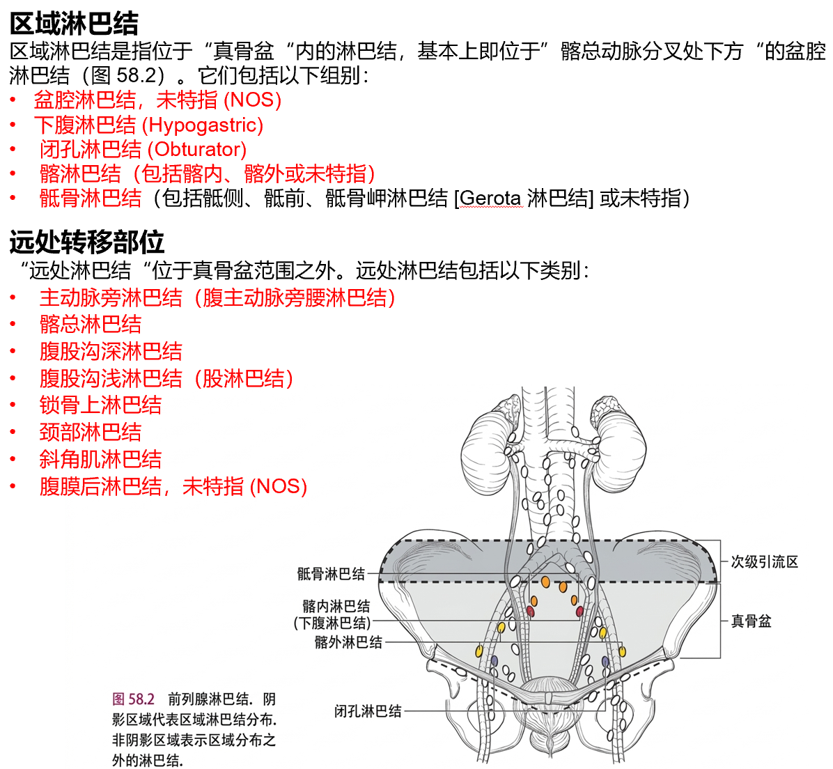 前列腺癌区域淋巴结与远处转移部位